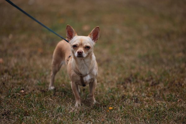 Wie man wettbewerbsfähig bleibt die die Zukunft der Branche prägen